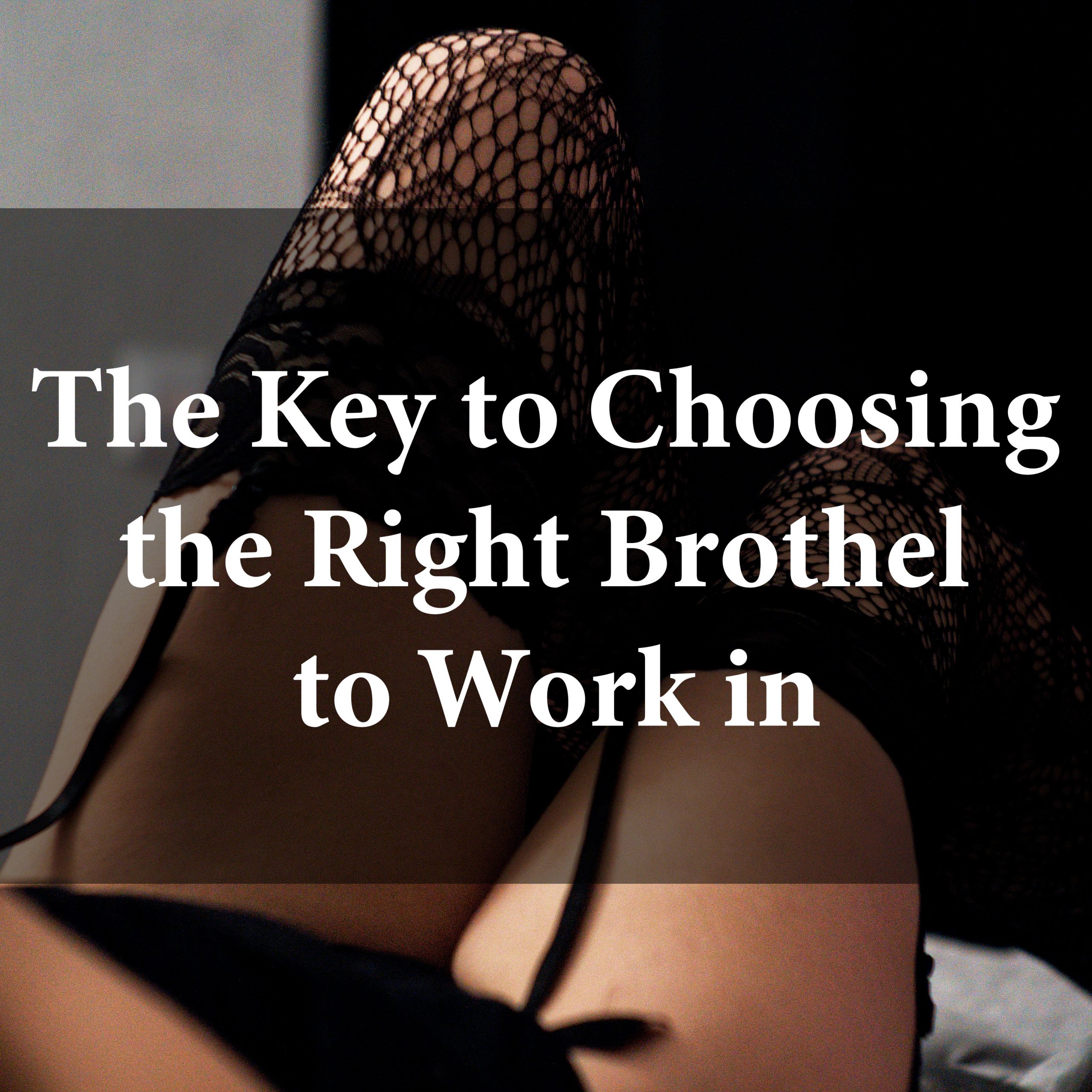 Choosing the right brothel Choosing the right brothel